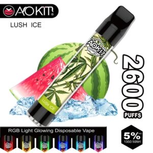 Aokit Lux 2600 Puffs Disposable Vape Wholesale (7)