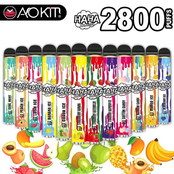 Haka XXL 2800 Puffs Disposable Vape Wholesale (5)