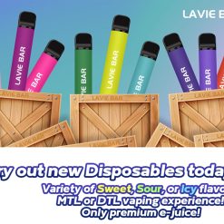 Lavie Bar 2 Engångs Vape 800 Puffs Partihandel Detalj 1