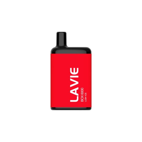 LAVIE 6000 BOX DISPOSABLE VAPE WHOLESALE (1)