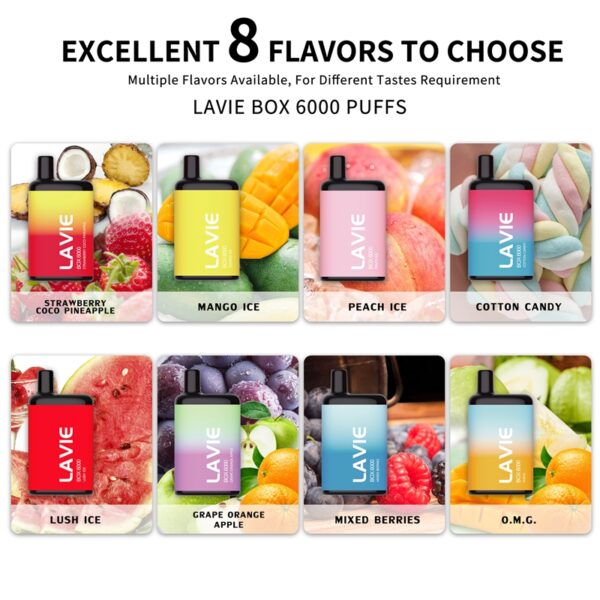 LAVIE 6000 VAPE DISPOSABLE WHOLESALE (6)