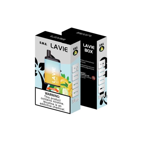 LAVIE 6000 VAPE DISPOSABLE WHOLESALE (7)