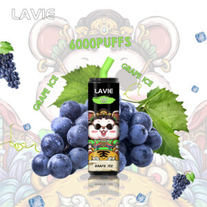 LAVIE 6000 Puffs Disposable Vape Wholesale Grape Ice Flavors