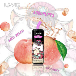 LAVIE 6000 Puffs Disposable Vape Wholesale Juicy Peach Flavors