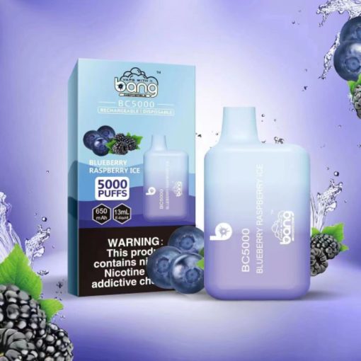 Bang BC5000 Einweg Vape Großhandel (10)