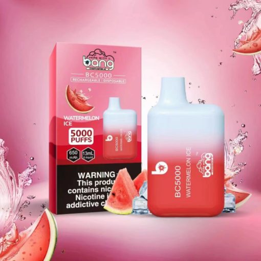 Bang BC5000 Einweg Vape Großhandel (11)