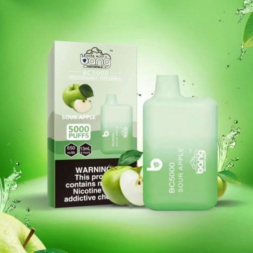 Bang BC5000 Einweg Vape Großhandel (14)