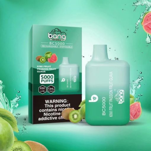 Bang BC5000 Einweg Vape Großhandel (4)