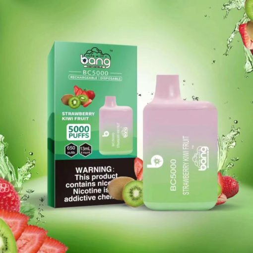 Bang BC5000 Einweg Vape Großhandel (7)