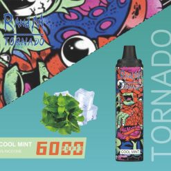 RANDM Tornado 6000 Puffs Einweg Vape Großhandel Cool Mint
