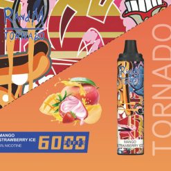RANDM Tornado 6000 Puffs Einweg Vape Großhandel Mango Erdbeere Eis