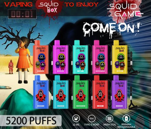 RandM Squid Box 5200 Puffs Disposable Vape Wholesale