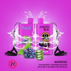 RandM Squid Box 5200 Puffs Disposable Vape Wholesale Aloe Grape