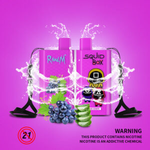 RandM Squid Box 5200 Puffs Disposable Vape Wholesale Aloe Grape