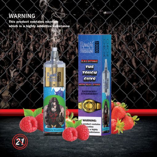 RandM Tornado 10000 Puffs Einweg Vape Großhandel (11)