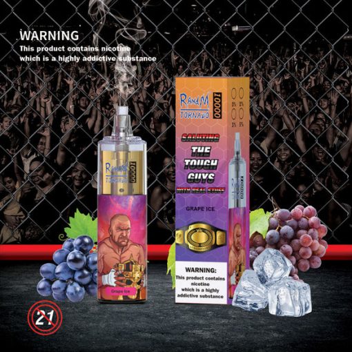RandM Tornado 10000 Puffs Einweg Vape Großhandel (5)