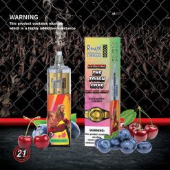RandM Tornado 10000 Puffs Einweg Vape Großhandel (6)