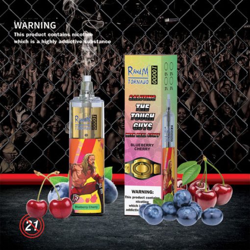 RandM Tornado 10000 Puffs Einweg Vape Großhandel (6)