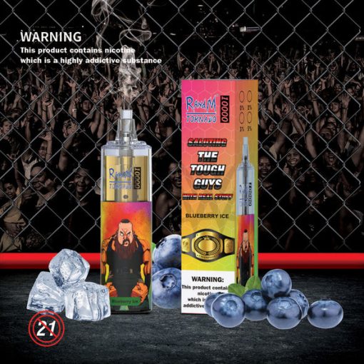 RandM Tornado 10000 Puffs Einweg Vape Großhandel (7)