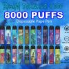 RandM Tornado 8000 Puffs Engångs Vape Partihandel (21)