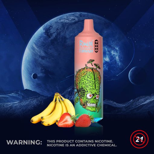 RandM Tornado 9000 Puffs Einweg Vape Großhandel (10)