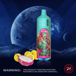 RandM Tornado 9000 Puffs Einweg Vape Großhandel (2)