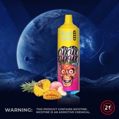 RandM Tornado 9000 Puffs Einweg Vape Großhandel (7)