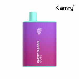 Kamry Flagon 6000 Puffs Disposable Vape Wholesale (12)