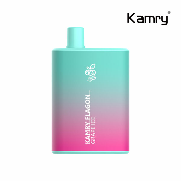 Kamry Flagon 6000 Puffs Disposable Vape Wholesale (13)