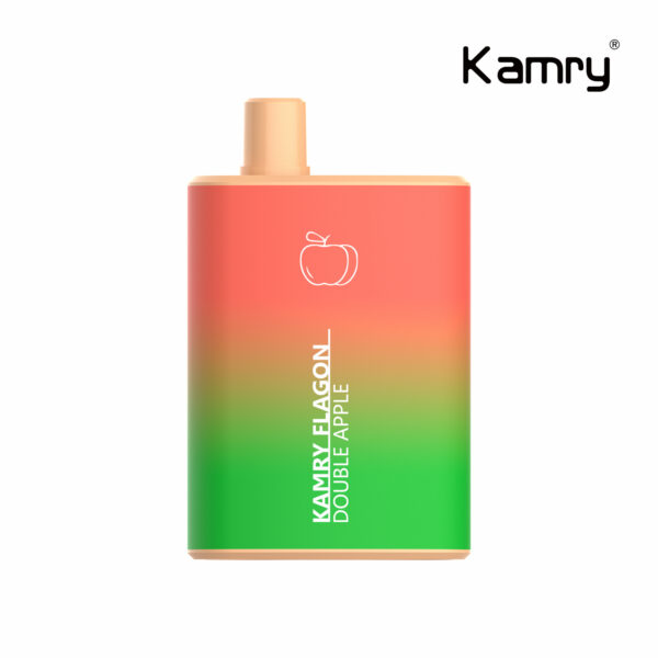 Kamry Flagon 6000 Puffs Vape jetable Wholesale (14)