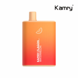 Kamry Flagon 6000 Puffs Disposable Vape Wholesale (15)