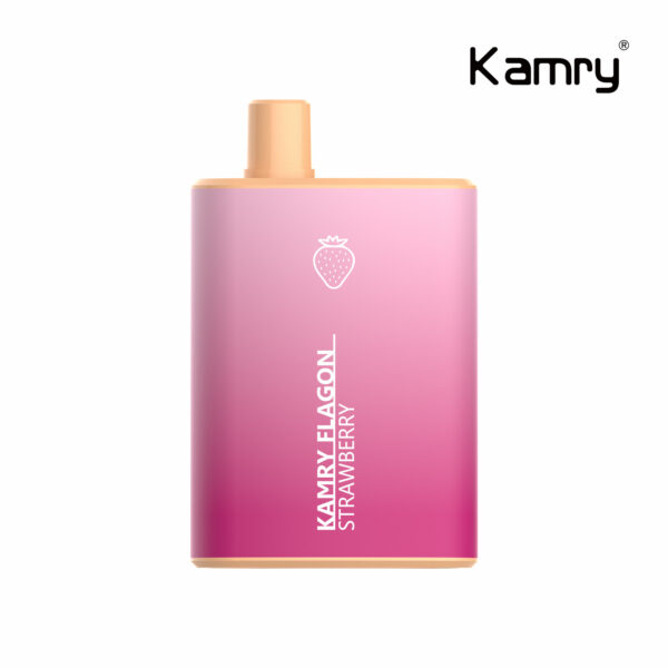 Kamry Flagon 6000 Puffs Disposable Vape Wholesale (4)