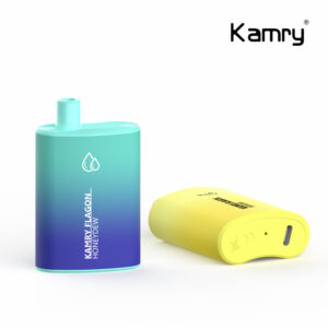 Kamry Flagon 6000 Puffs Disposable Vape Wholesale (8)