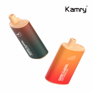 Kamry Flagon 6000 Puffs Disposable Vape Wholesale (9)