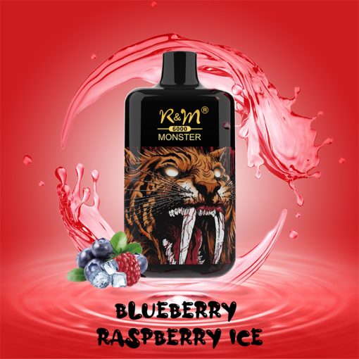 RM Monster 6000 Puffs Disposable Vape Wholesale Blueberry Raspberry Ice