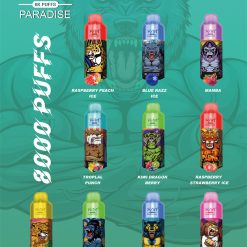 RM PARADISE 8000 puffów jednorazowych Vape hurtowo 10 smaków
