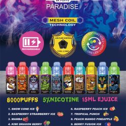RM PARADISE 8000 Puffs Jednorazowa sprzedaż hurtowa Vape