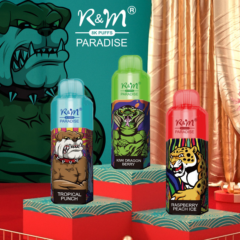 RM PARADISE 8000 puffów jednorazowych Vape hurtowo 3 smaki