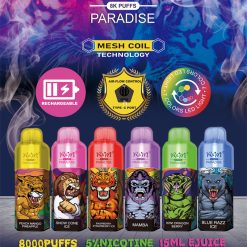RM PARADISE 8000 puffów jednorazowych Vape hurtowo 6 smaków
