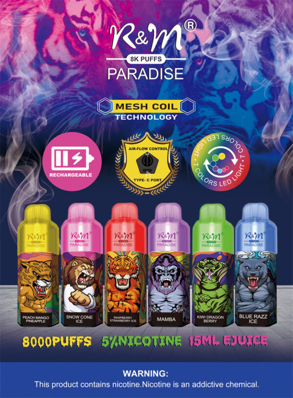 RM PARADISE 8000 Puffs Disposable Vape Wholesale 6 Flavors