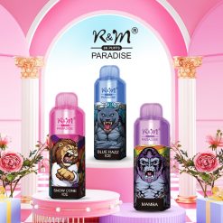 RM PARADISE 8000 Puffs Jednorazowe Vape hurtowo opisać