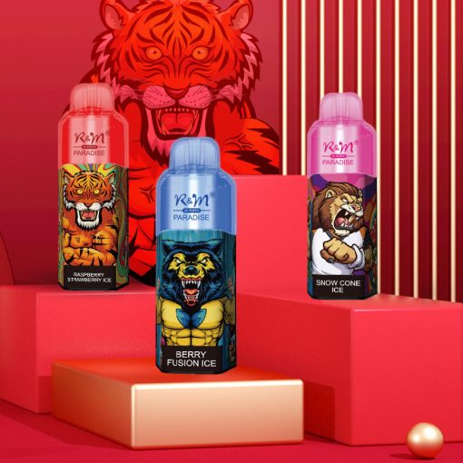 RM PARADISE 8000 Puffs Jednorazowe Vape Hurtownia Smaków