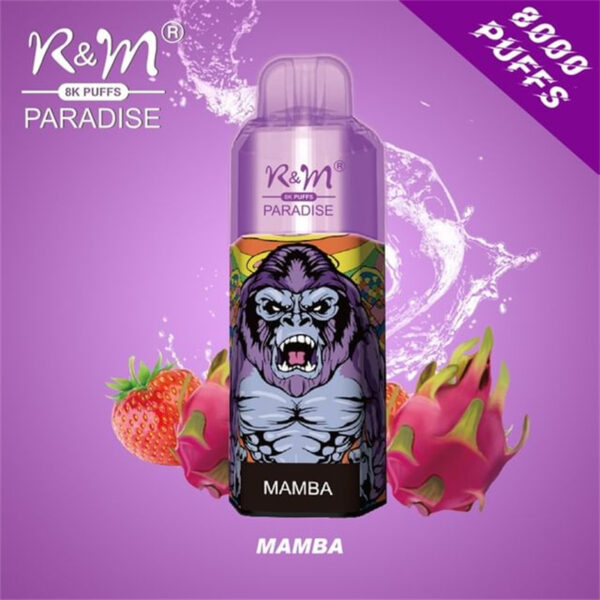 RM PARADISE 8000 Puffs Disposable Vape Wholesale Mamba