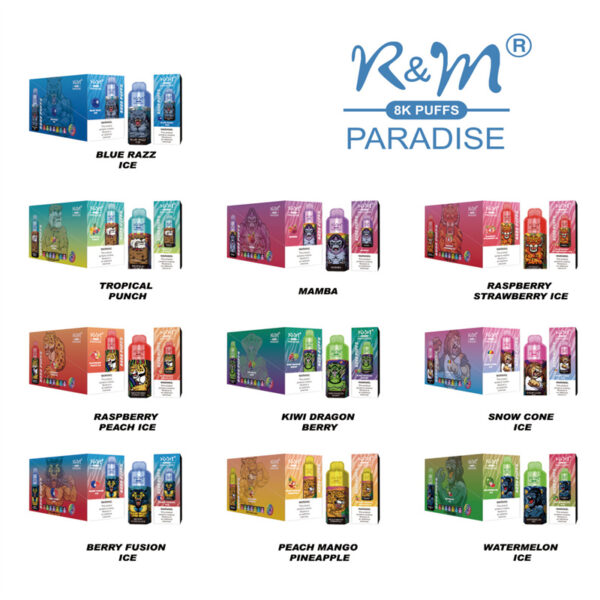 RM PARADISE 8000 Puffs Disposable Vape Wholesale Package