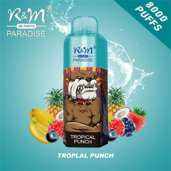 RM PARADISE 8000 Puffs Disposable Vape Wholesale Tropical Punch