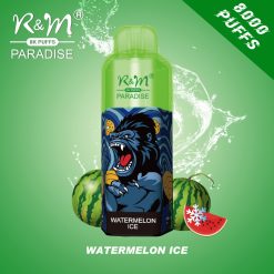 RM PARADISE 8000 Puffs Jednorazowe Vape Hurtownia Lód Arbuzowy