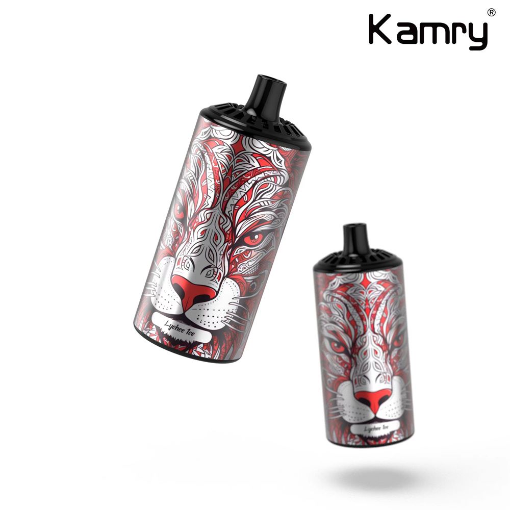 Kamry Boss 10000 Puffs Vape Lychee ice