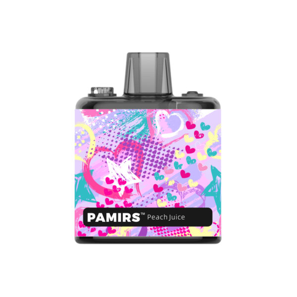 Pamirs 8000 Puffs Disposable Vape Wholesale Peach Juice