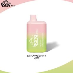 BANG BC5000 BOX ENGÅNGS VAPE GROSSIST (1)