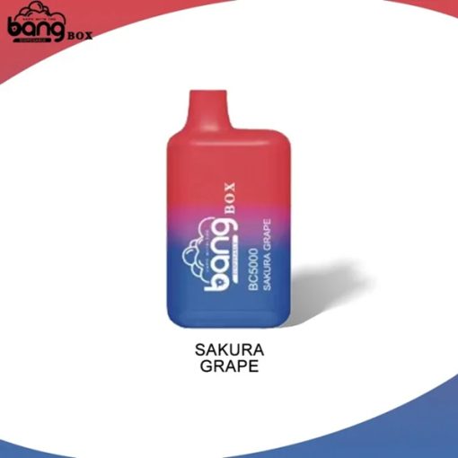 BANG BC5000 BOX ENGÅNGS VAPE GROSSIST (2)